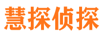 青龙侦探公司